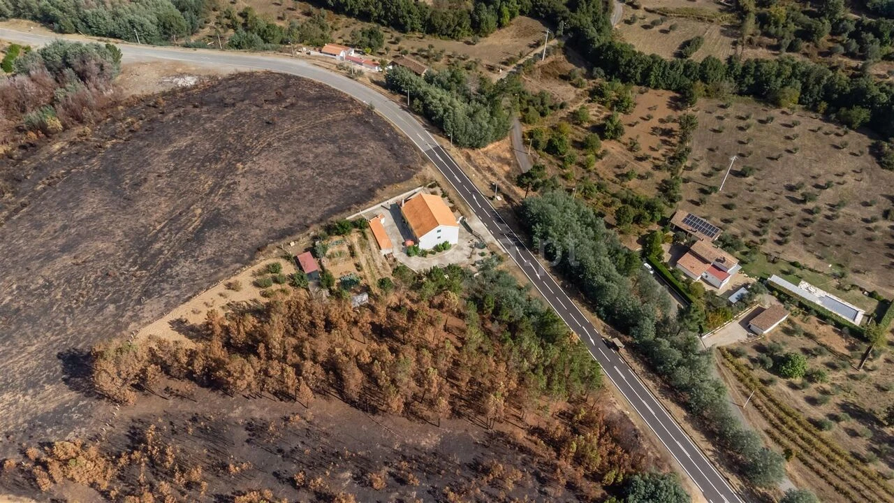 Terreno para Venda em Souto da Casa Foto 2