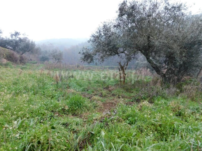 Terreno para Venda em Souto da Casa Foto 3