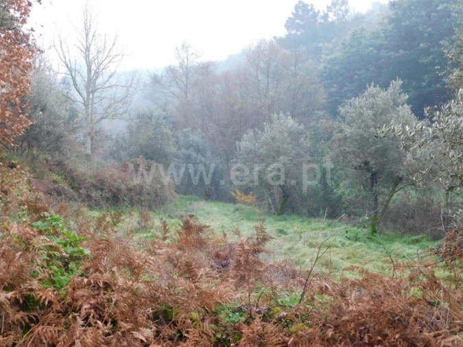 Terreno para Venda em Souto da Casa Foto 2