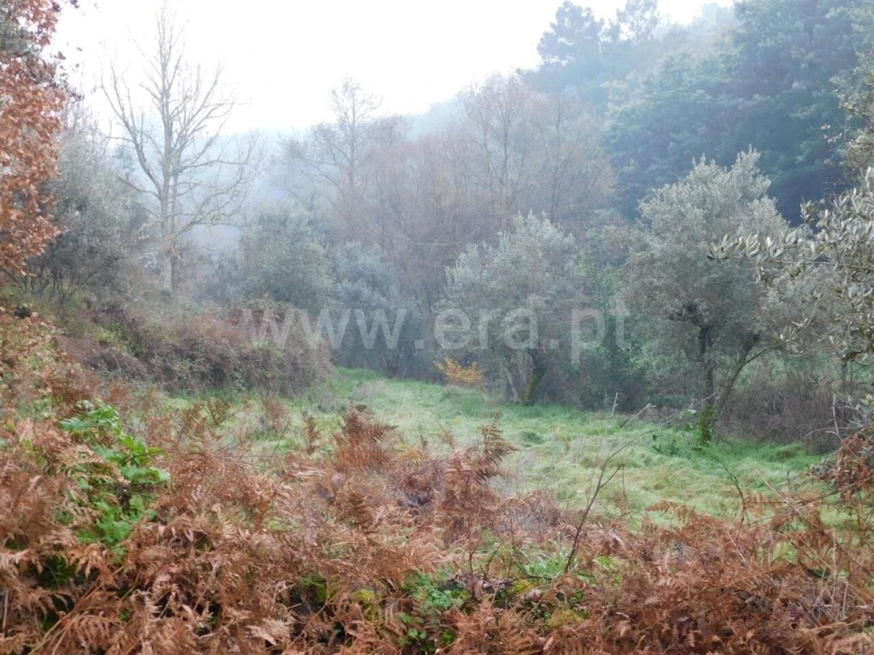 Terreno para Venda em Souto da Casa Foto 2