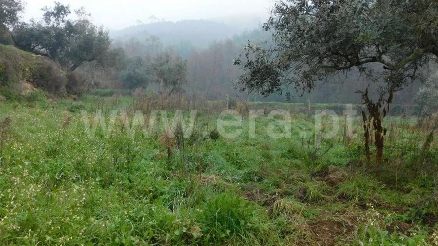 Terreno para Venda em Souto da Casa