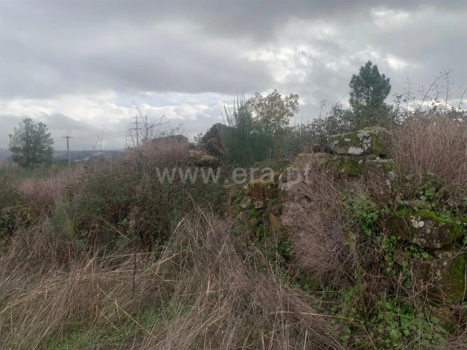 Quinta T1 para Venda em Pero Viseu Foto 2