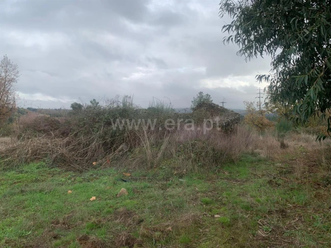 Quinta T1 para Venda em Pero Viseu Foto 7