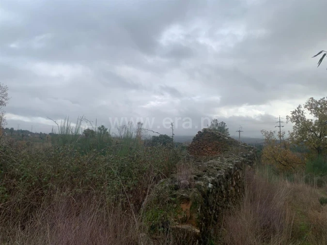 Quinta T1 para Venda em Pero Viseu Foto 1