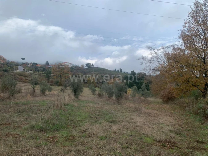 Quinta T1 para Venda em Pero Viseu Foto 8