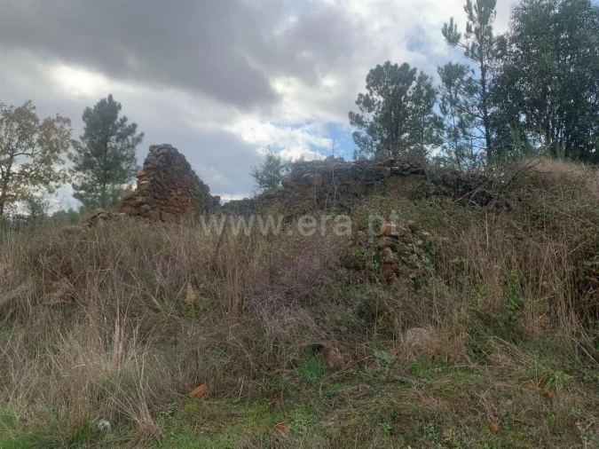 Quinta T1 para Venda em Pero Viseu Foto 9