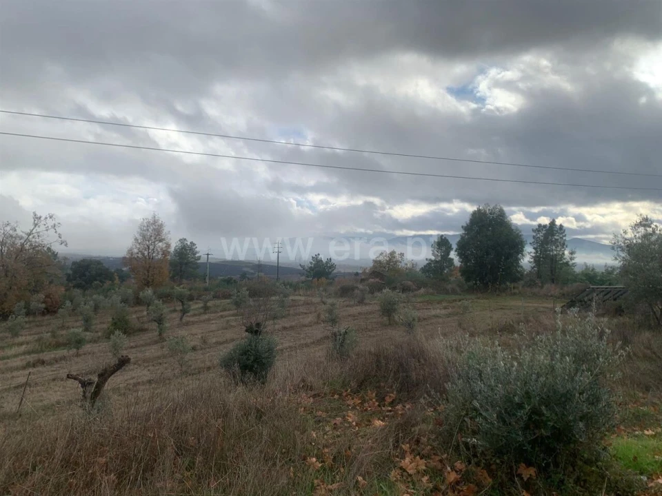 Quinta T1 para Venda em Pero Viseu Foto 6