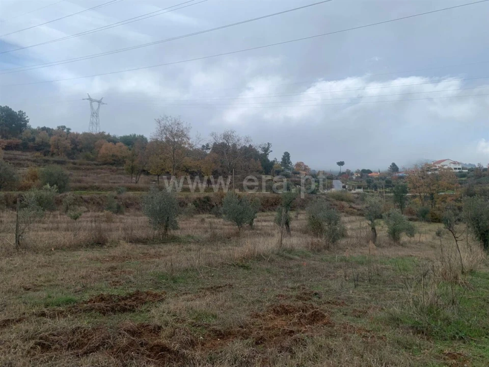 Quinta T1 para Venda em Pero Viseu Foto 5