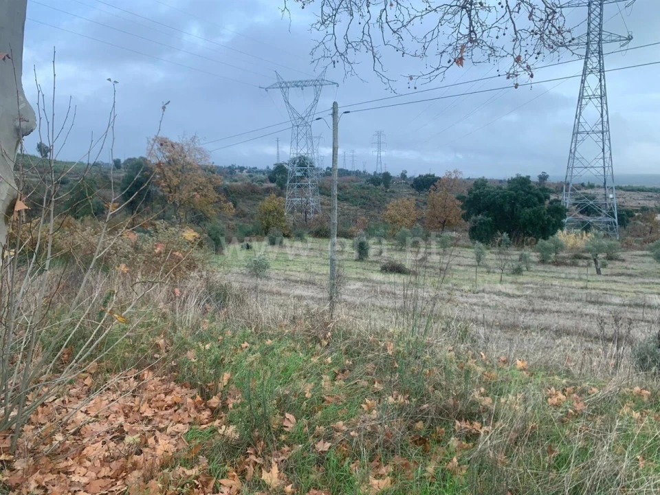 Quinta T1 para Venda em Pero Viseu Foto 4