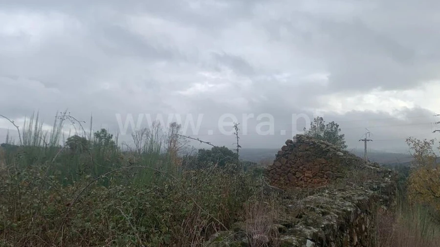 Quinta T1 para Venda em Pero Viseu