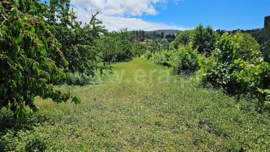 Quinta T0 para Venda em Castelejo Foto 3