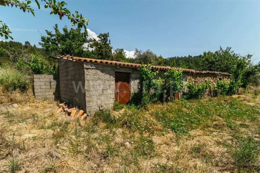 Quinta T0 para Venda em Castelejo Foto 9