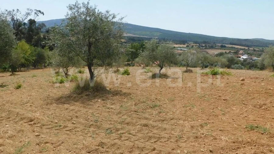 Terreno para Venda em Três Povos