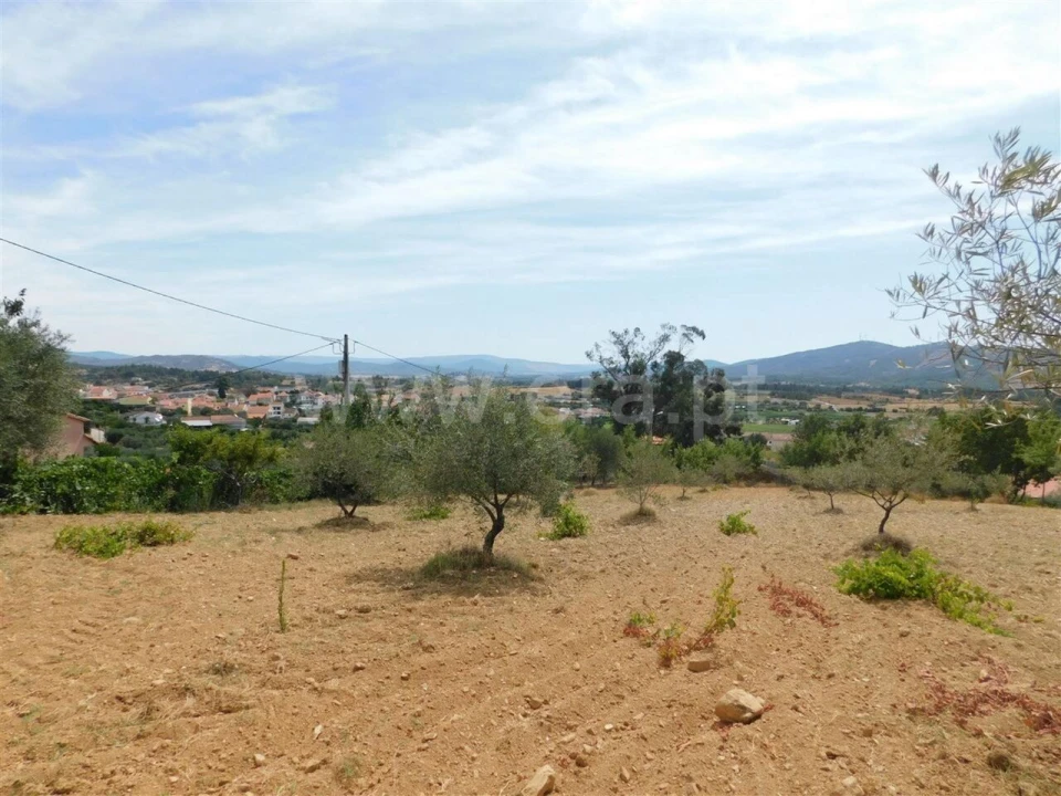 Terreno para Venda em Três Povos Foto 2