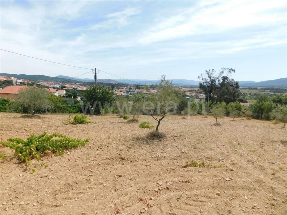 Terreno para Venda em Três Povos Foto 3
