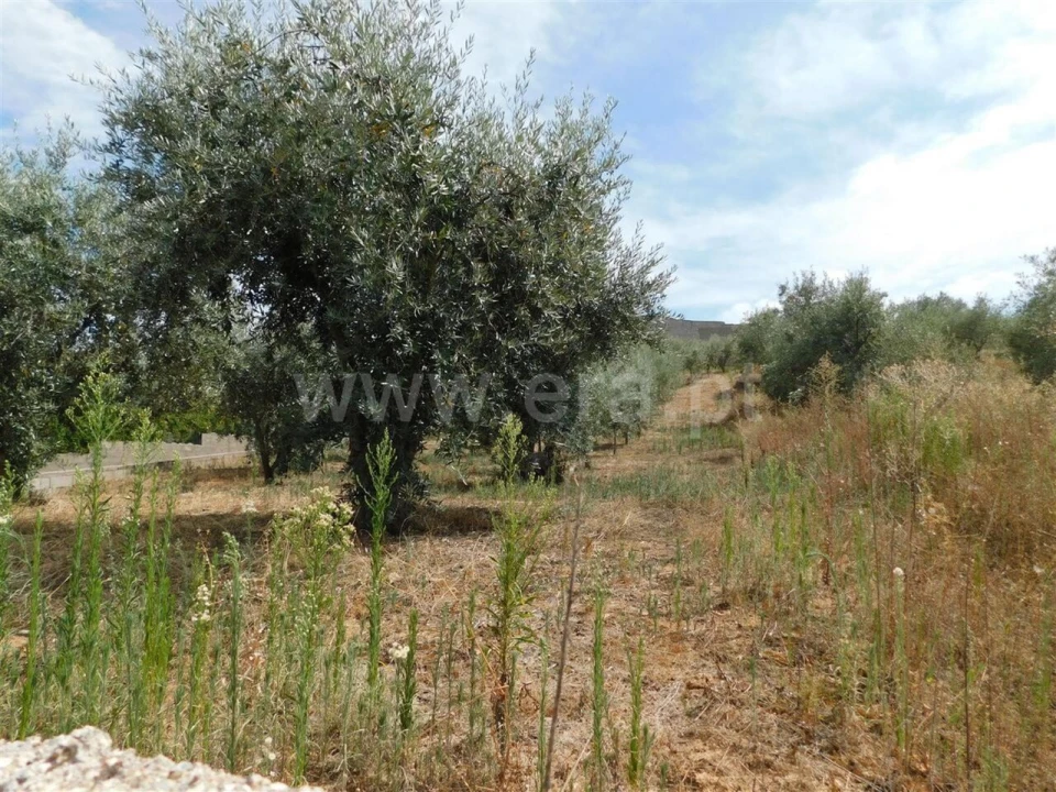 Terreno para Venda em Três Povos Foto 2
