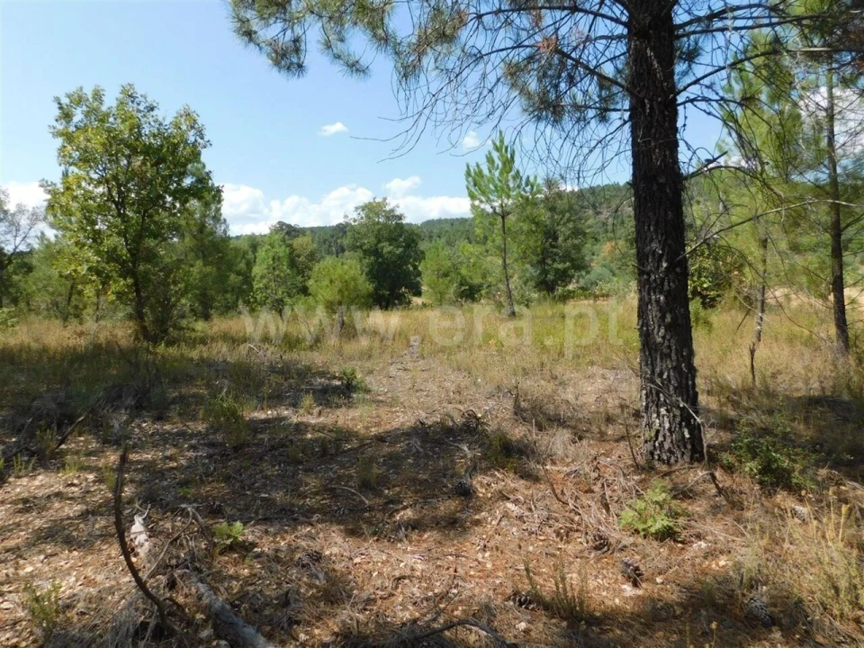 Terreno para Venda em Três Povos Foto 7