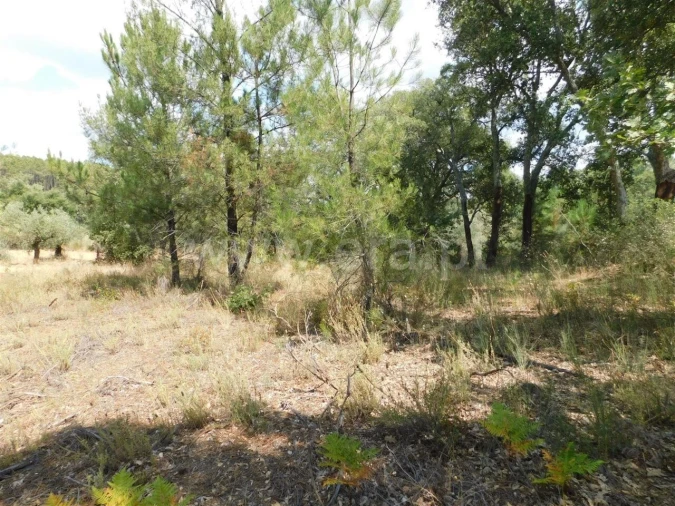 Terreno para Venda em Três Povos Foto 6