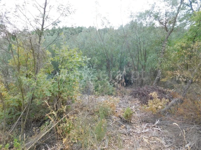 Terreno para Venda em Três Povos Foto 8