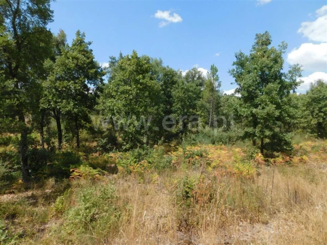 Terreno para Venda em Três Povos Foto 2