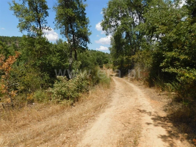 Terreno para Venda em Três Povos Foto 4