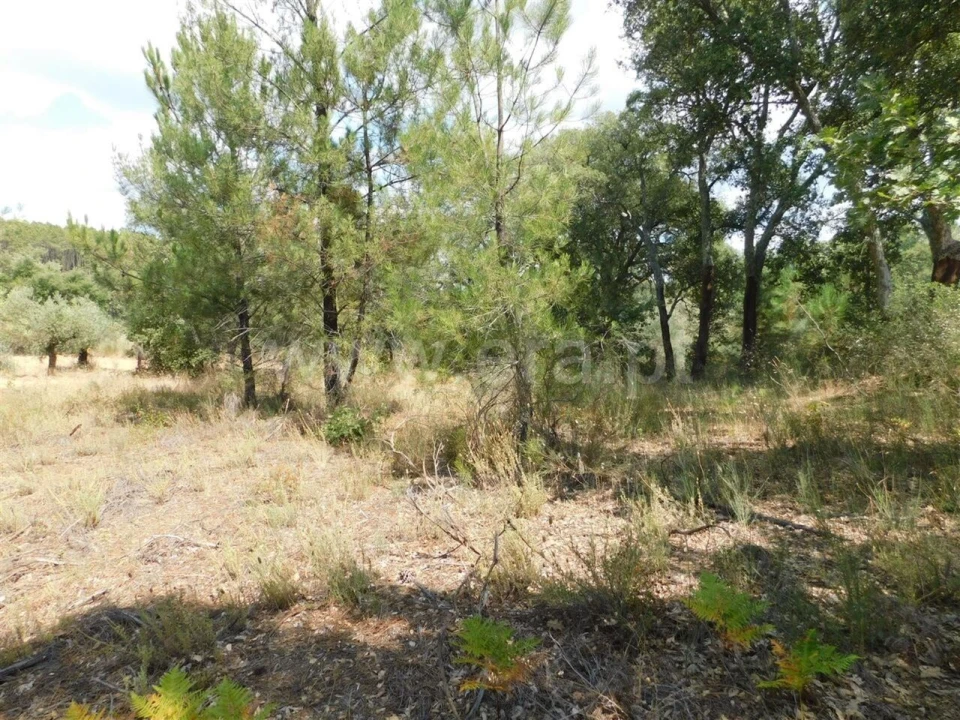 Terreno para Venda em Três Povos Foto 6