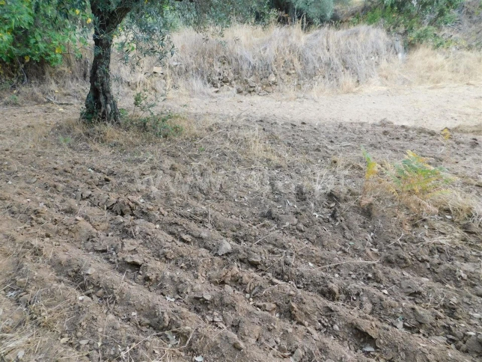 Terreno para Venda em Três Povos Foto 10