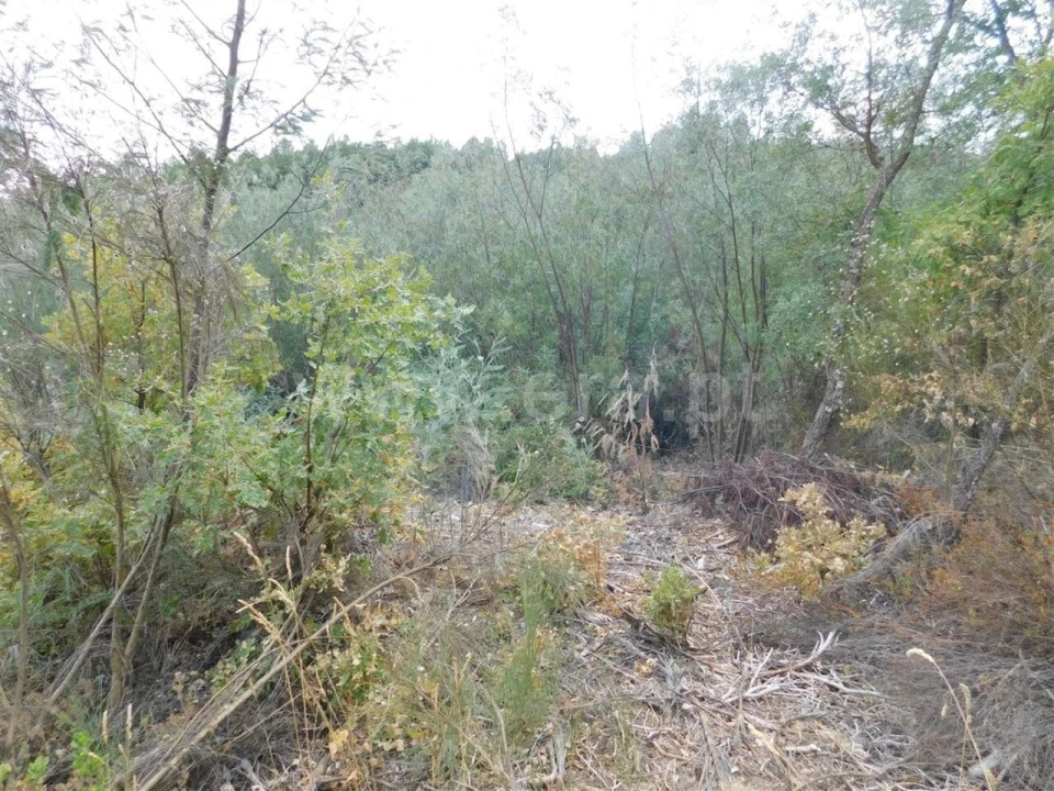 Terreno para Venda em Três Povos Foto 8