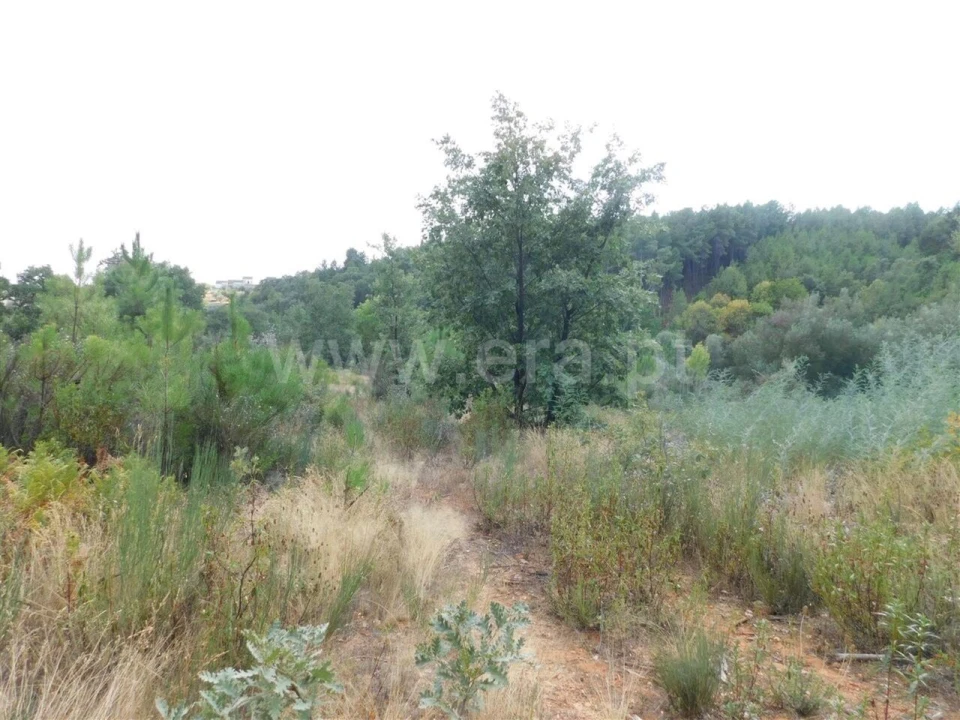 Terreno para Venda em Três Povos Foto 9