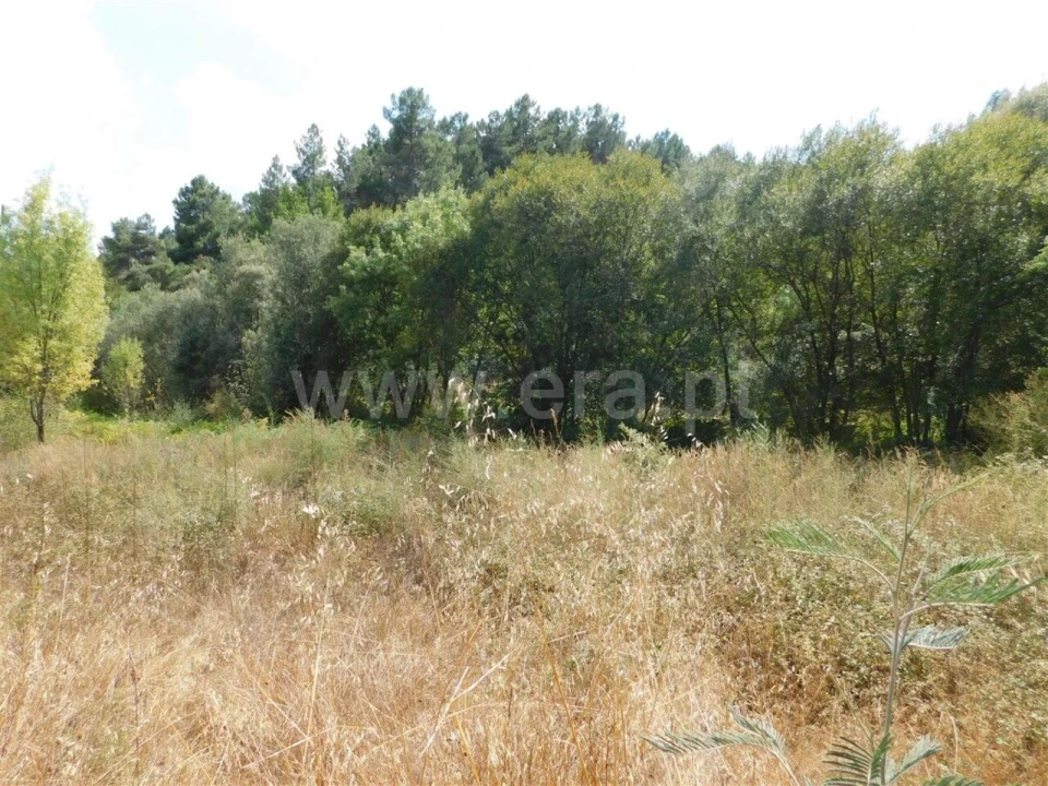 Terreno para Venda em Três Povos Foto 1