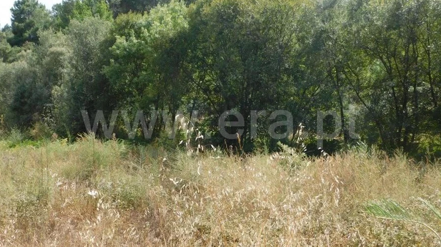 Terreno para Venda em Três Povos