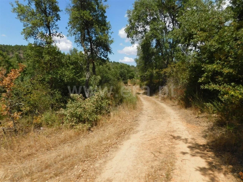 Terreno para Venda em Três Povos Foto 4
