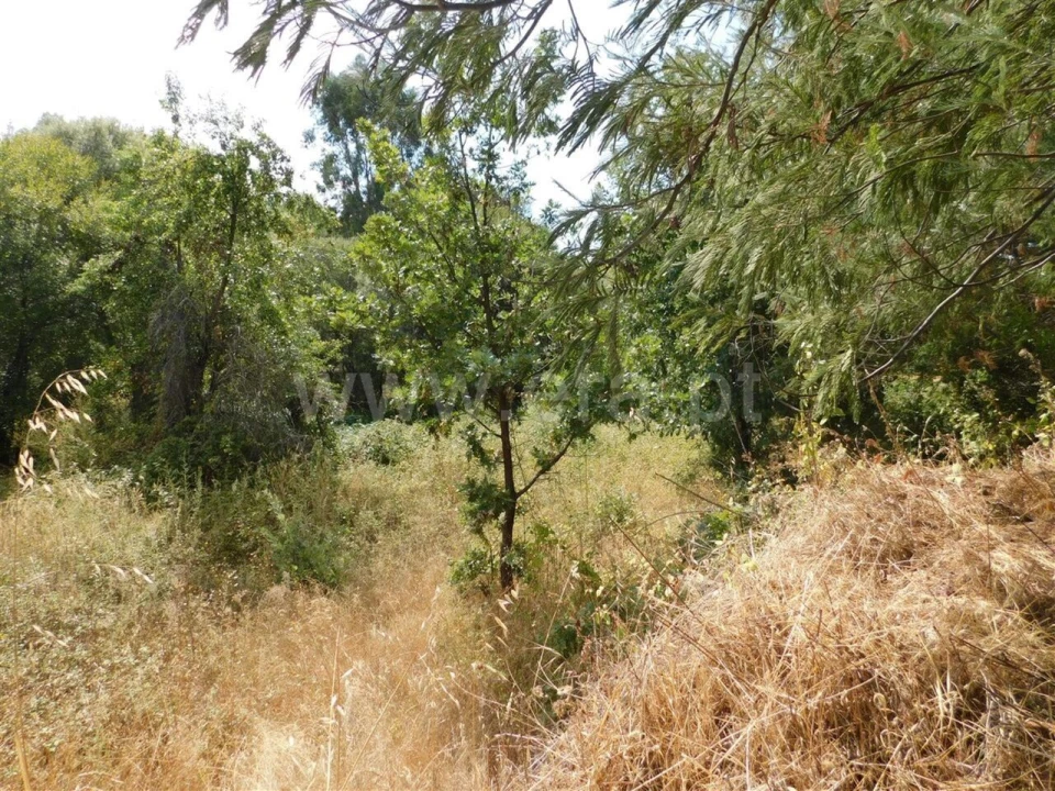 Terreno para Venda em Três Povos Foto 11
