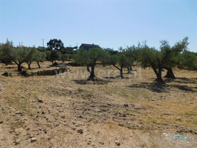Terreno para Venda em Orca Foto 3