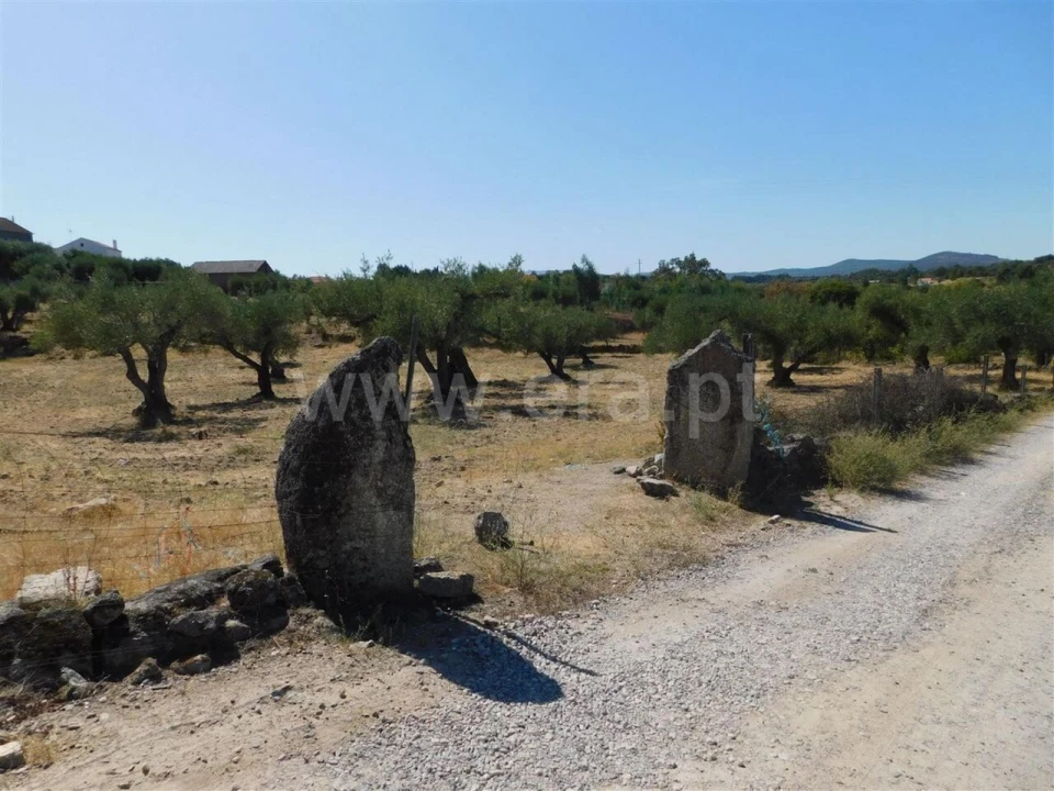 Terreno para Venda em Orca Foto 2