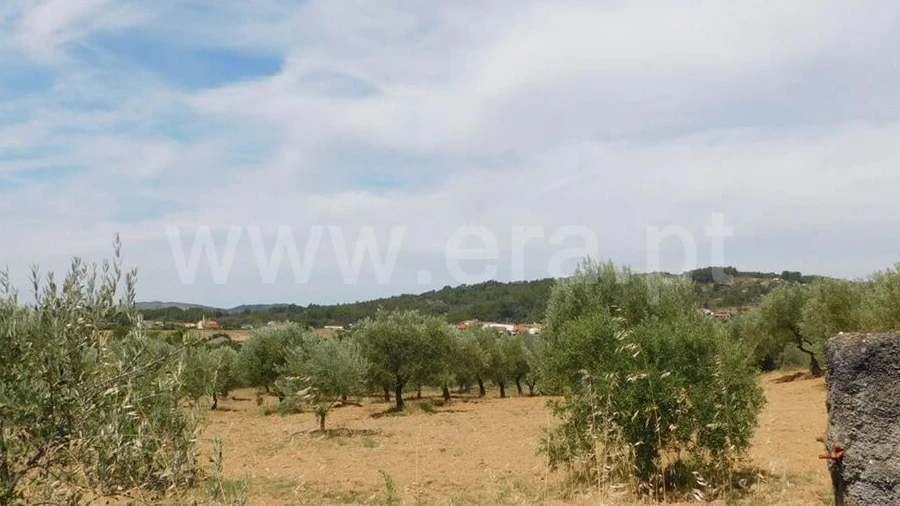 Terreno para Venda em Três Povos