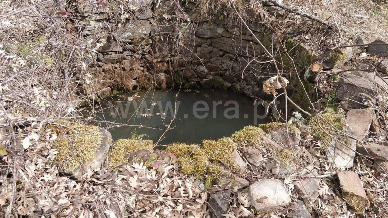 Terreno para Venda em Pero Viseu Foto 3