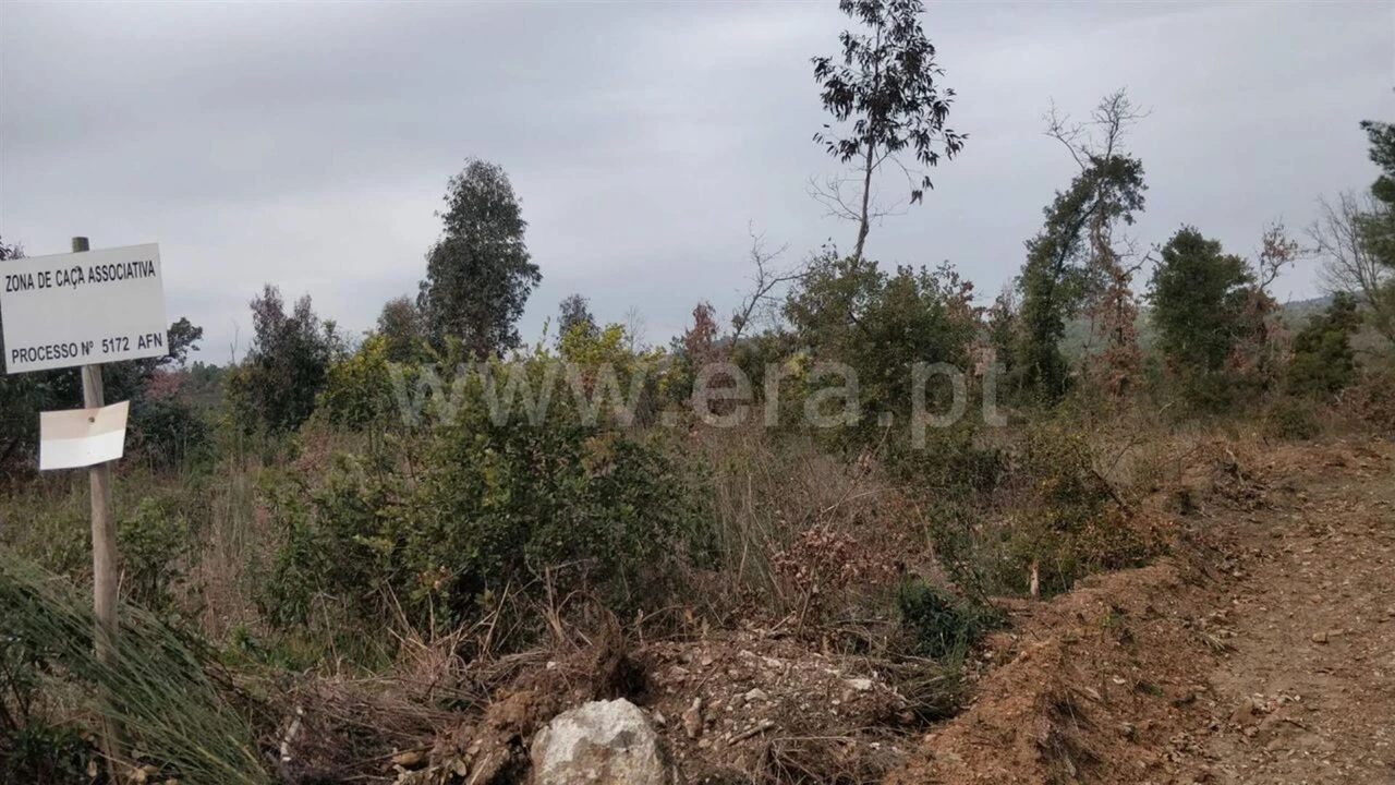 Terreno para Venda em Pero Viseu Foto 4