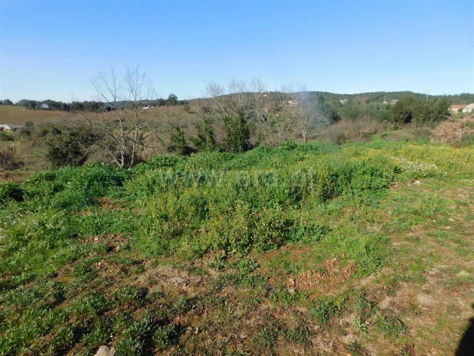 Terreno para Venda em Pero Viseu Foto 2