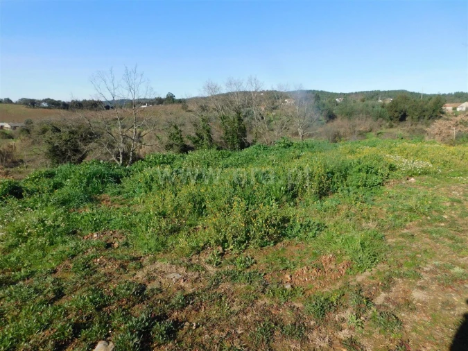 Terreno para Venda em Pero Viseu Foto 2