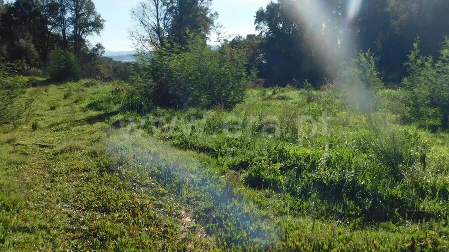 Terreno para Venda em Pero Viseu
