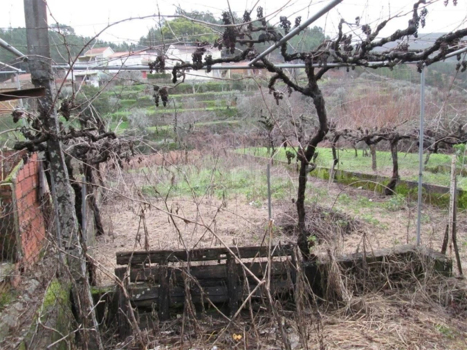 Moradia T2 para Venda em Castelejo Foto 4