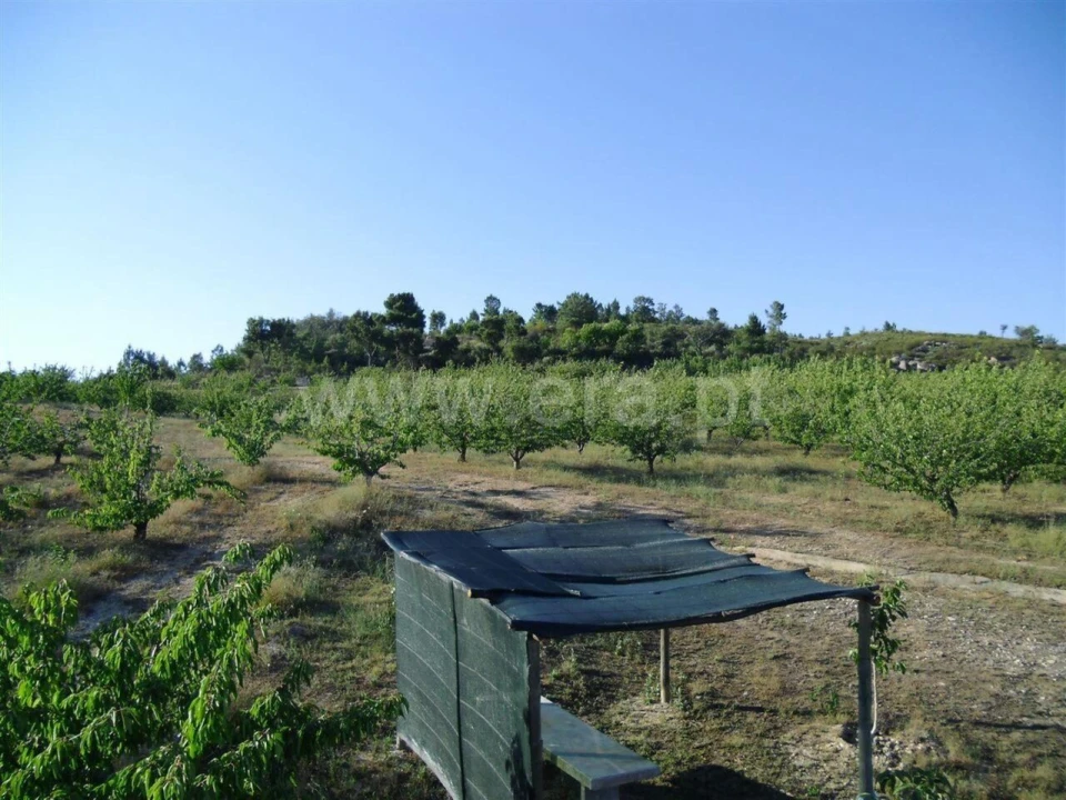 Terreno para Venda em Pero Viseu Foto 6