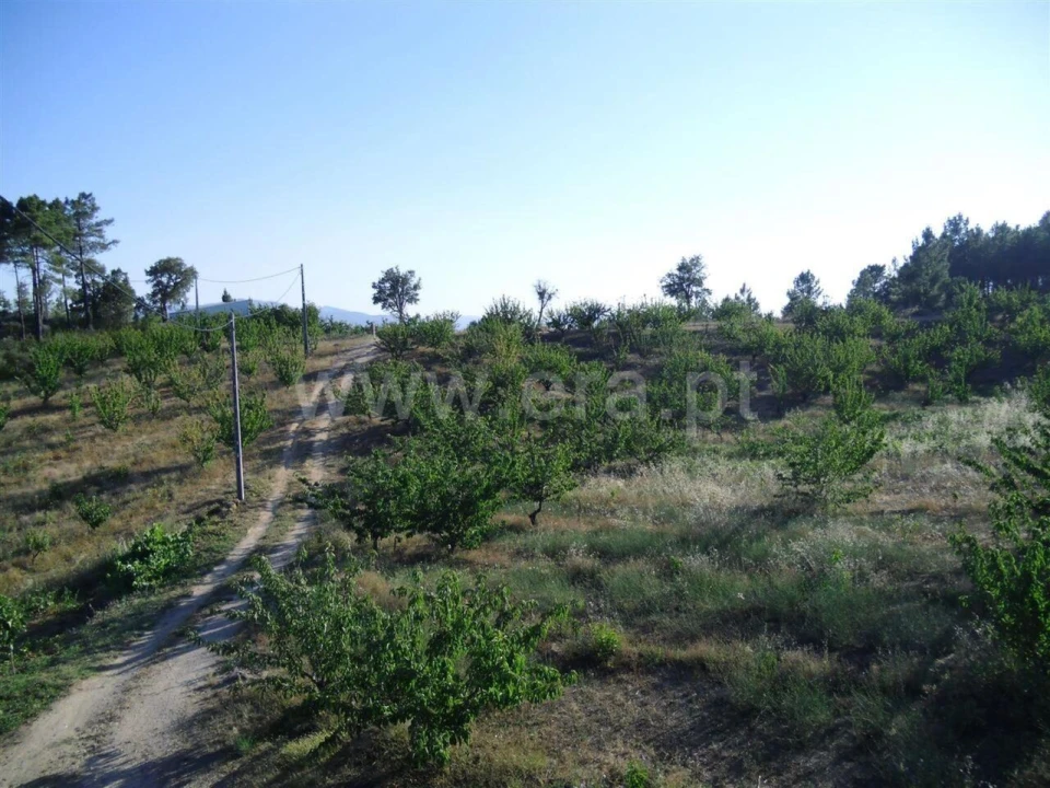 Terreno para Venda em Pero Viseu Foto 5