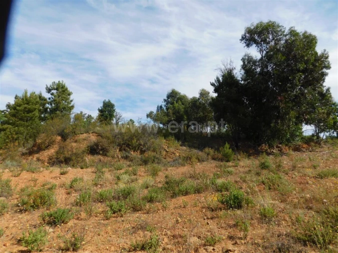 Terreno para Venda em Pero Viseu Foto 7