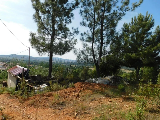 Terreno para Venda em Pero Viseu Foto 8