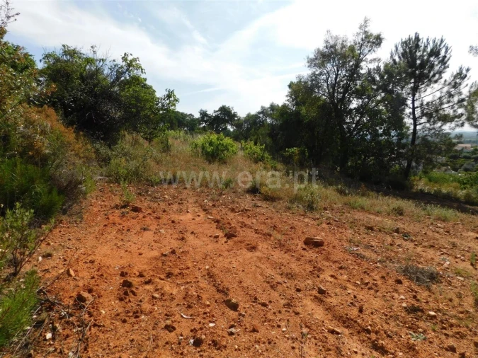 Terreno para Venda em Pero Viseu Foto 5