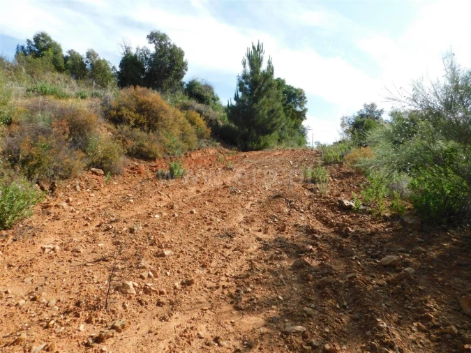 Terreno para Venda em Pero Viseu Foto 6