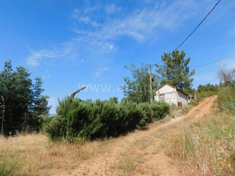 Terreno para Venda em Pero Viseu Foto 2