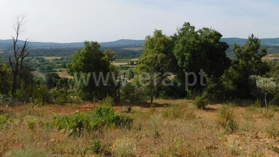 Terreno para Venda em Pero Viseu